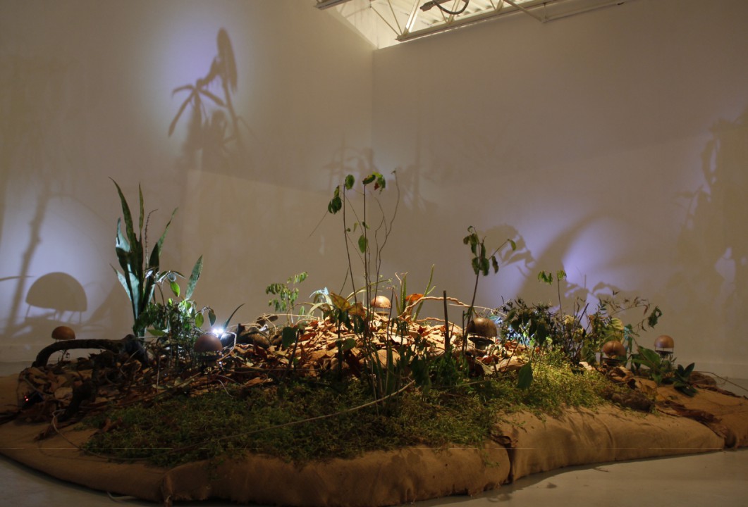 tzaykin.fm | devenir imperceptible #1